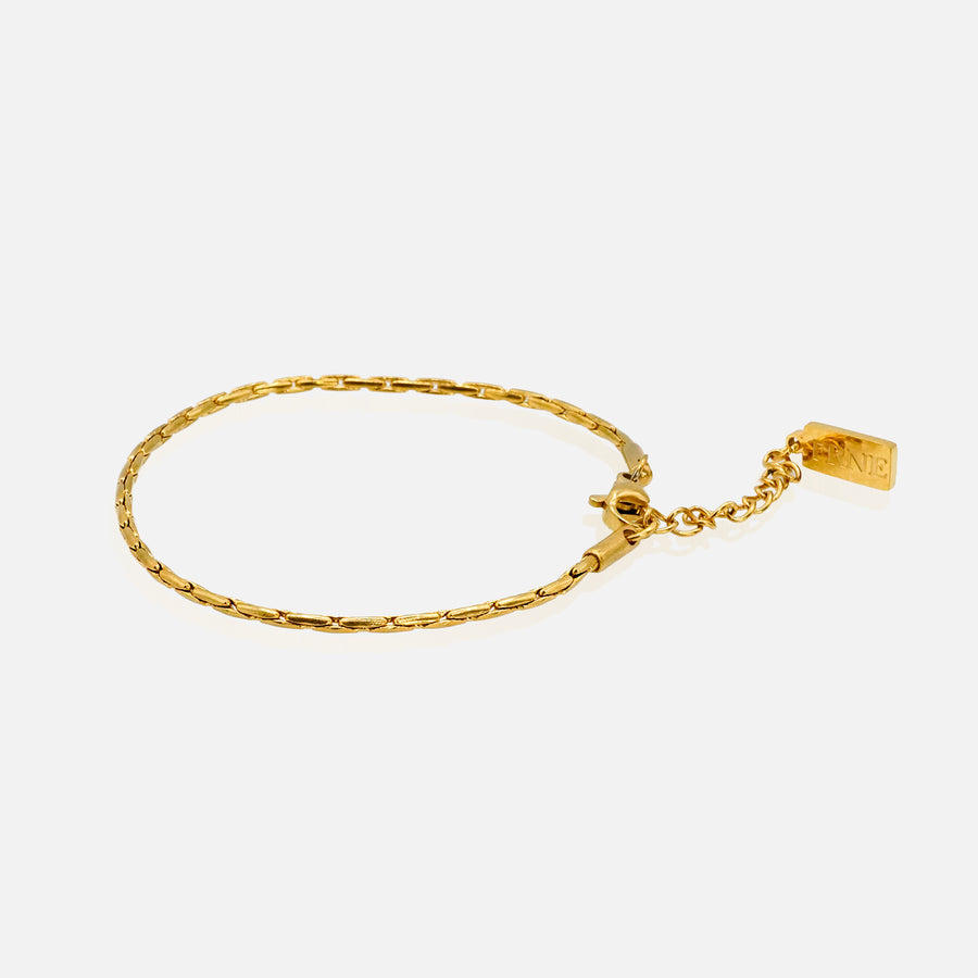 Gold refined round snake bracelet with extension chain on white background