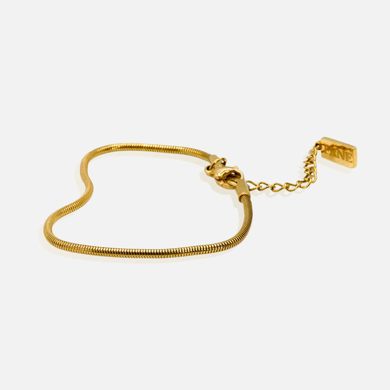 Premium gold snake chain bracelet by FRNE with minimalist design and extension chain on white background